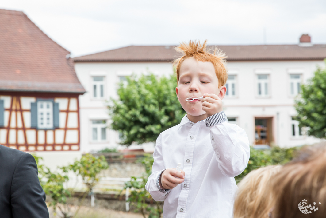 Hochzeit+Jagdschloss+Platte+-1037