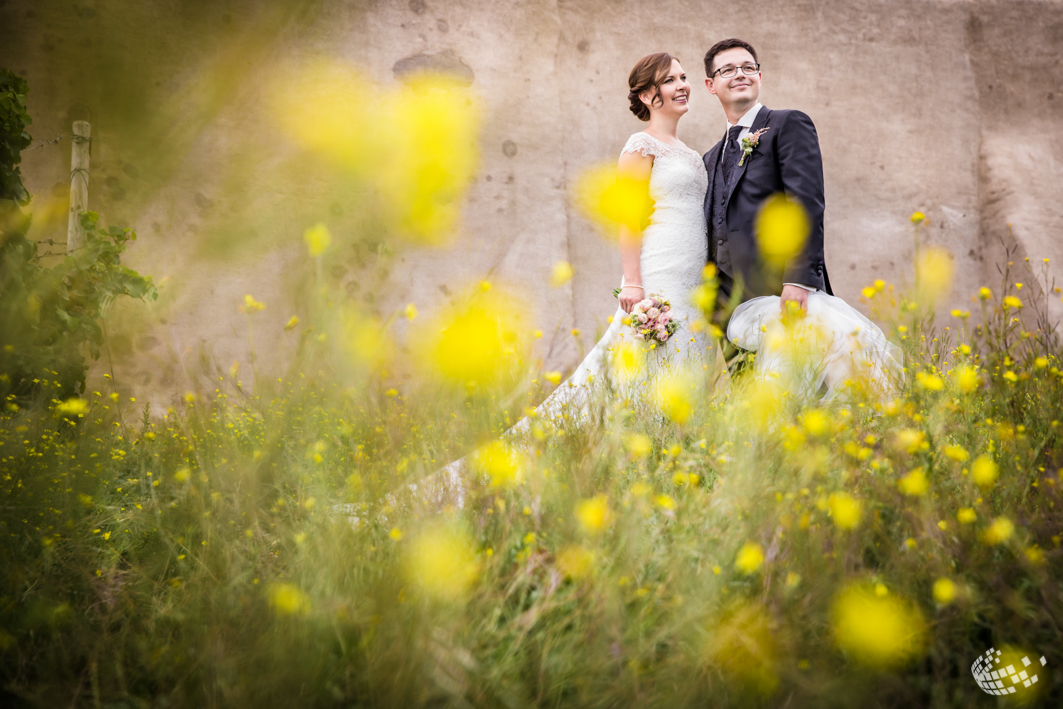 Hochzeit+Jagdschloss+Platte+-1041